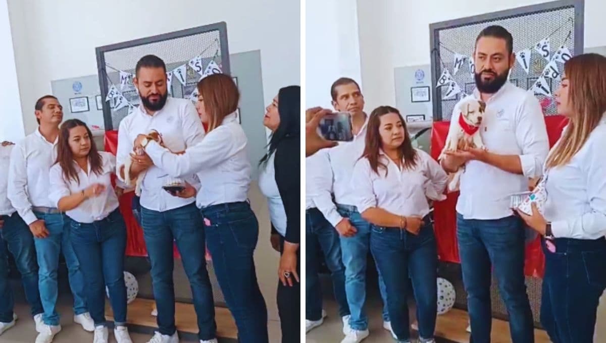 Conoce al perrrito que fue adoptado por una agencia automotriz en Veracruz