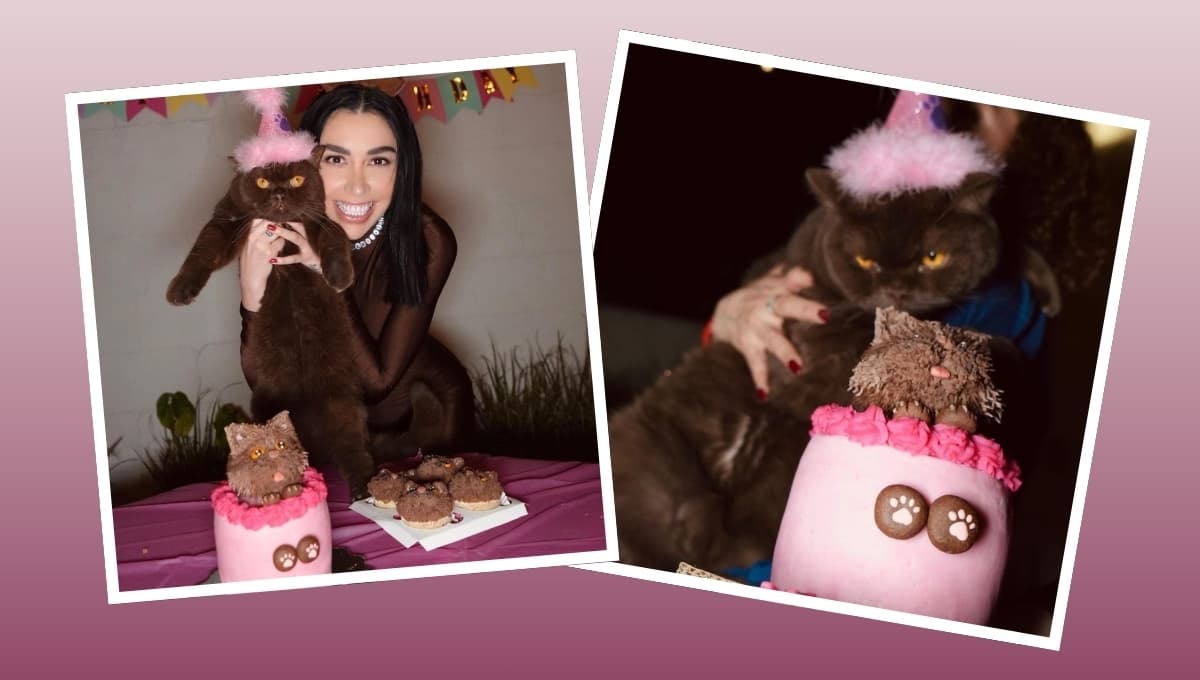 ¿Qué es una terapeuta de animales? Karime llevó a su gato antes de entrar a La Casa de los Famosos