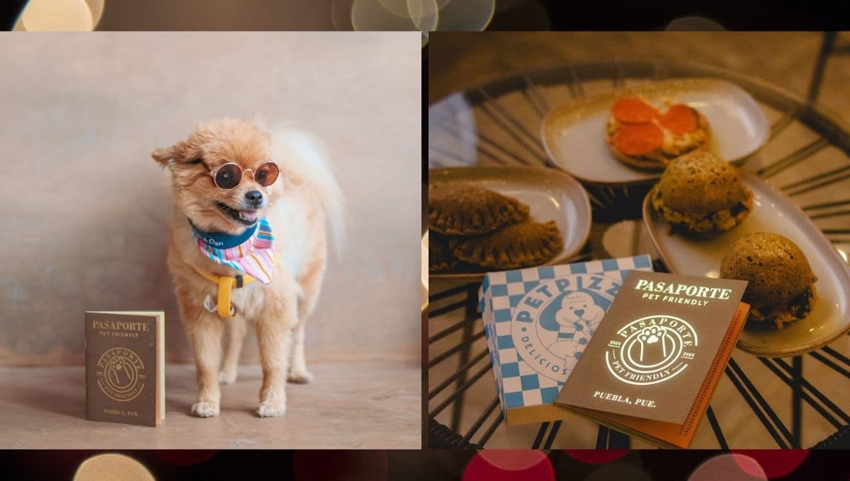 Conoce el pasaporte friendly que proponen en Puebla para tu mascota