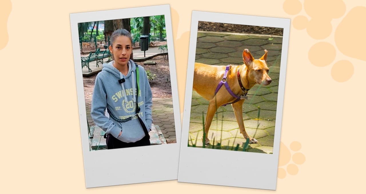Abigail te cuenta cómo debes pasear a tu mascota responsablemente