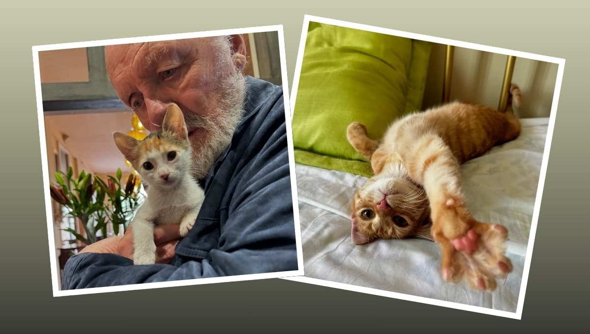 Anthony Hopkins enamora al mundo con fotos de sus gatos