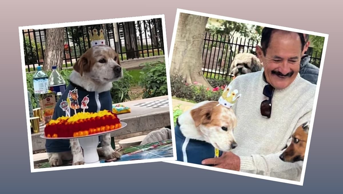 Hombre celebra cumpleaños de su perro en parque; invita a muchos lomitos