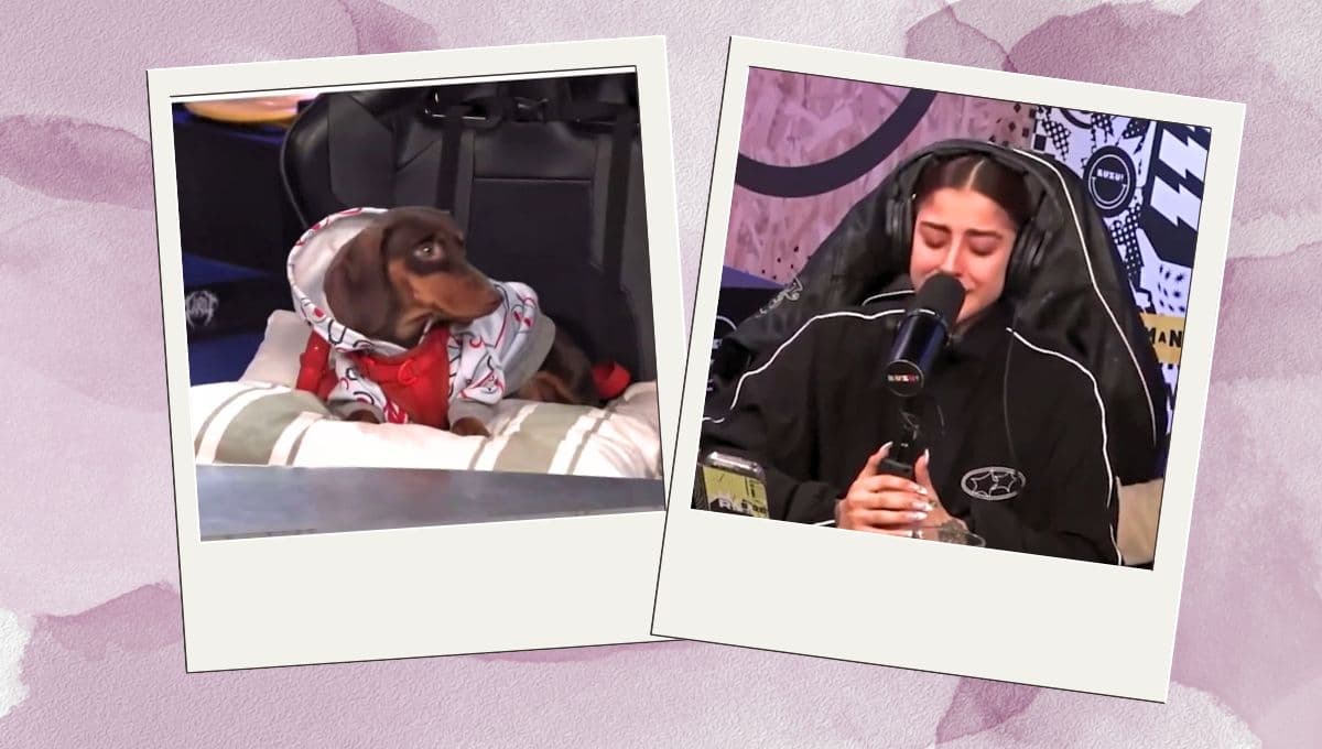 Famosa streamer relata la trágica muerte de su perro en vivo