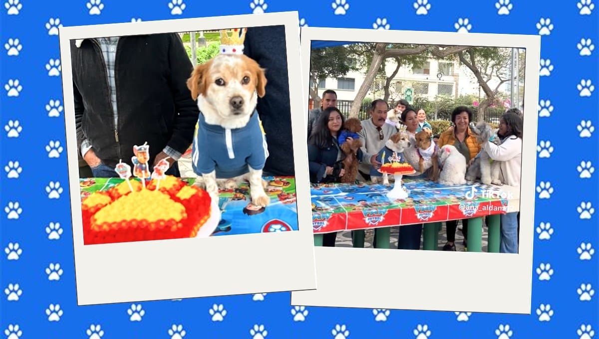 Hombre celebra a su perro con fiesta temática de Paw Patrol