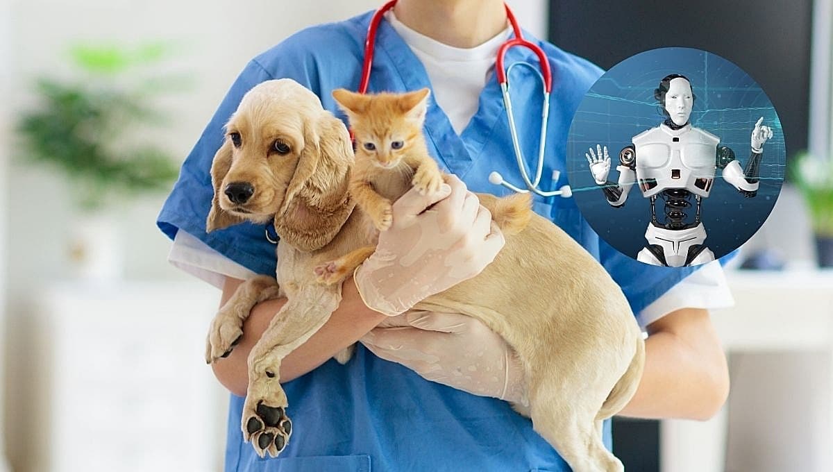 Usan la IA para atender a perros en Corea del Sur: ¿cómo funciona?