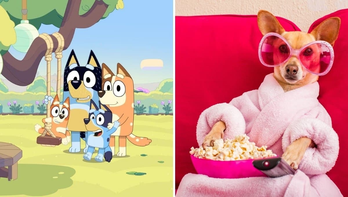 La razón por la que a tu perro le gusta ver Bluey