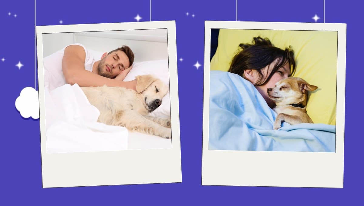 Esta es la enfermedad que puedes evitar si duermes con tu perro