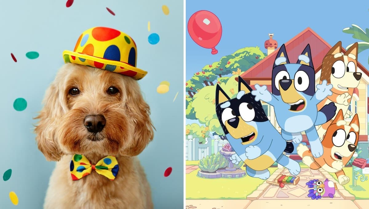 Bluey: 5 dibujos para colorear y celebrar la vida de tu perro