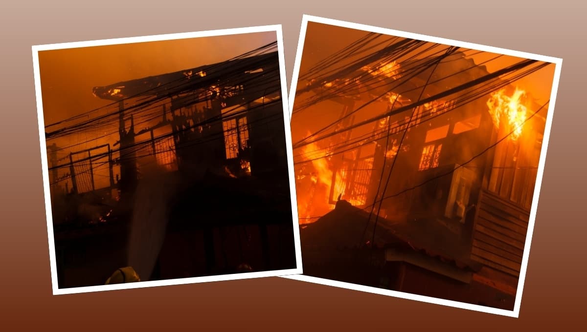 Perro causa incendio tras querer alcanzar sobras de comida de la estufa