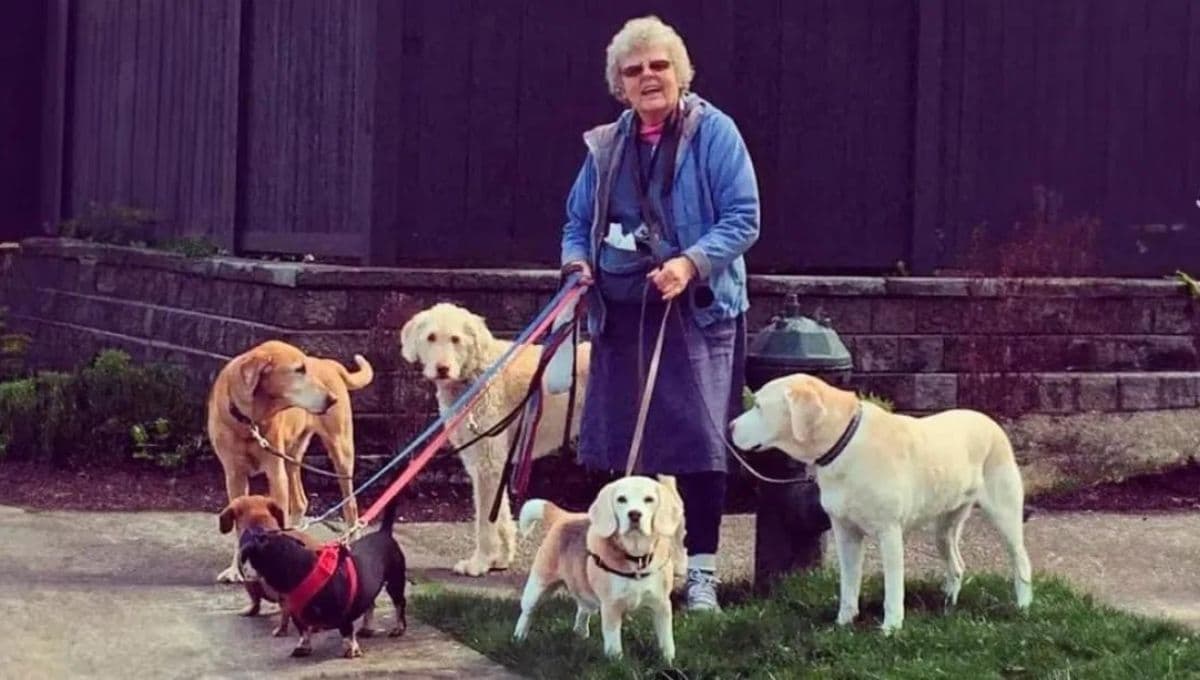 Paseadora de perros de 80 años muere por defender a sus cachorros de asaltante