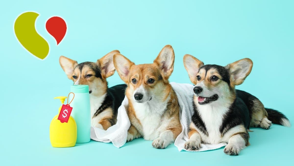 Folleto de Soriana: Lista de descuentos en productos para mascotas hoy 29 de agosto