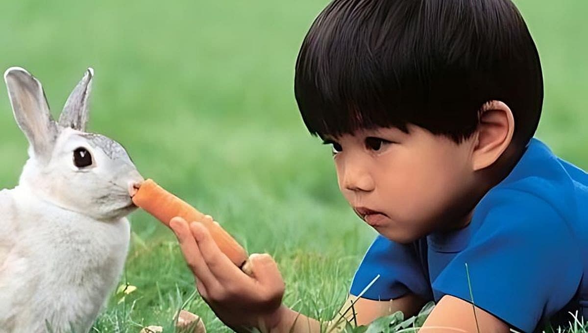 Las mascotas que no debe tener tu hijo, según experto animal