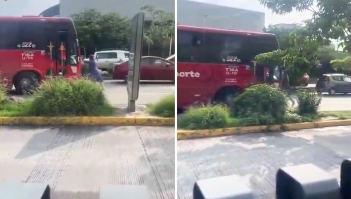 Mujer es atropellada por camión por defender a un perro