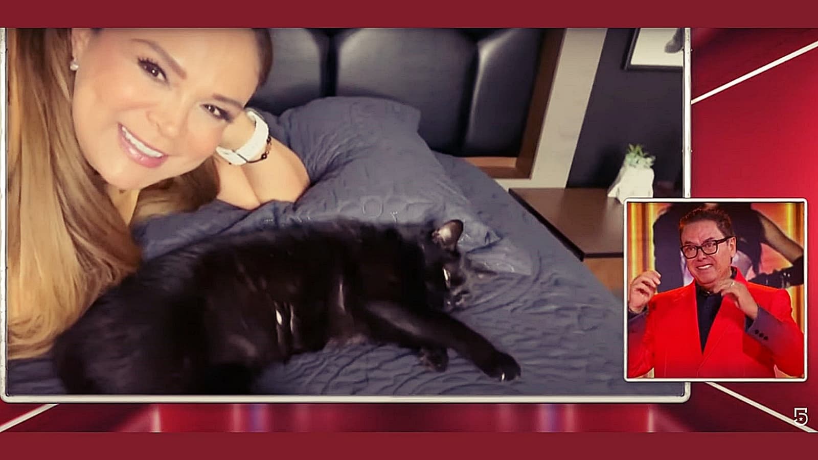 Ella es la gatita Alenka de Mario Bezares de La Casa de los Famosos