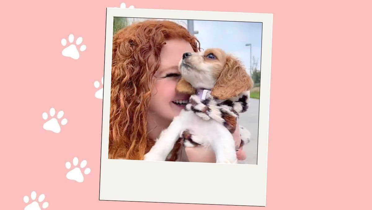Conoce a Biley, la perrita de Briggitte Bozzo de La Casa de los Famosos