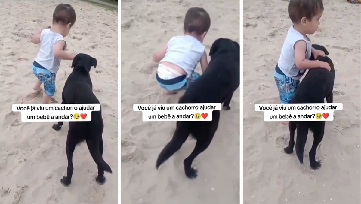 Niño con tumor cerebral da sus primeros pasos gracias a su perro