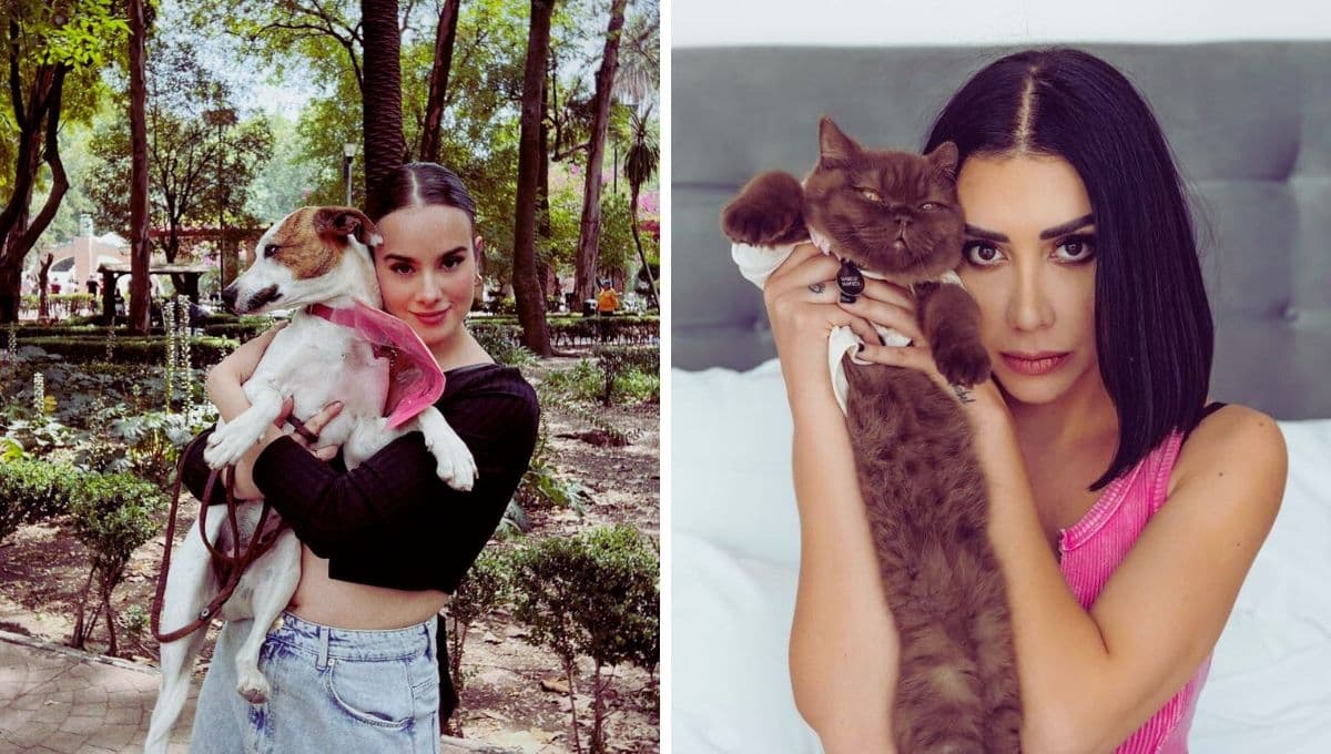 Estas son las mascotas de los integrantes de La Casa de los Famosos