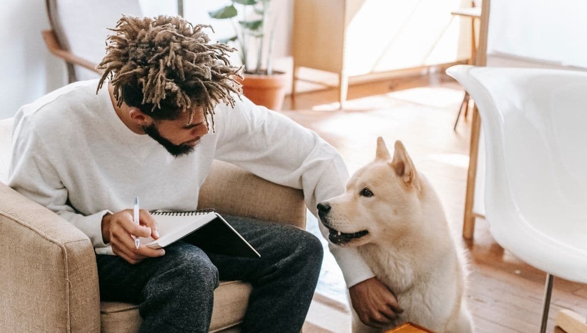 Las 10 palabras que entienden los perros, según la ciencia