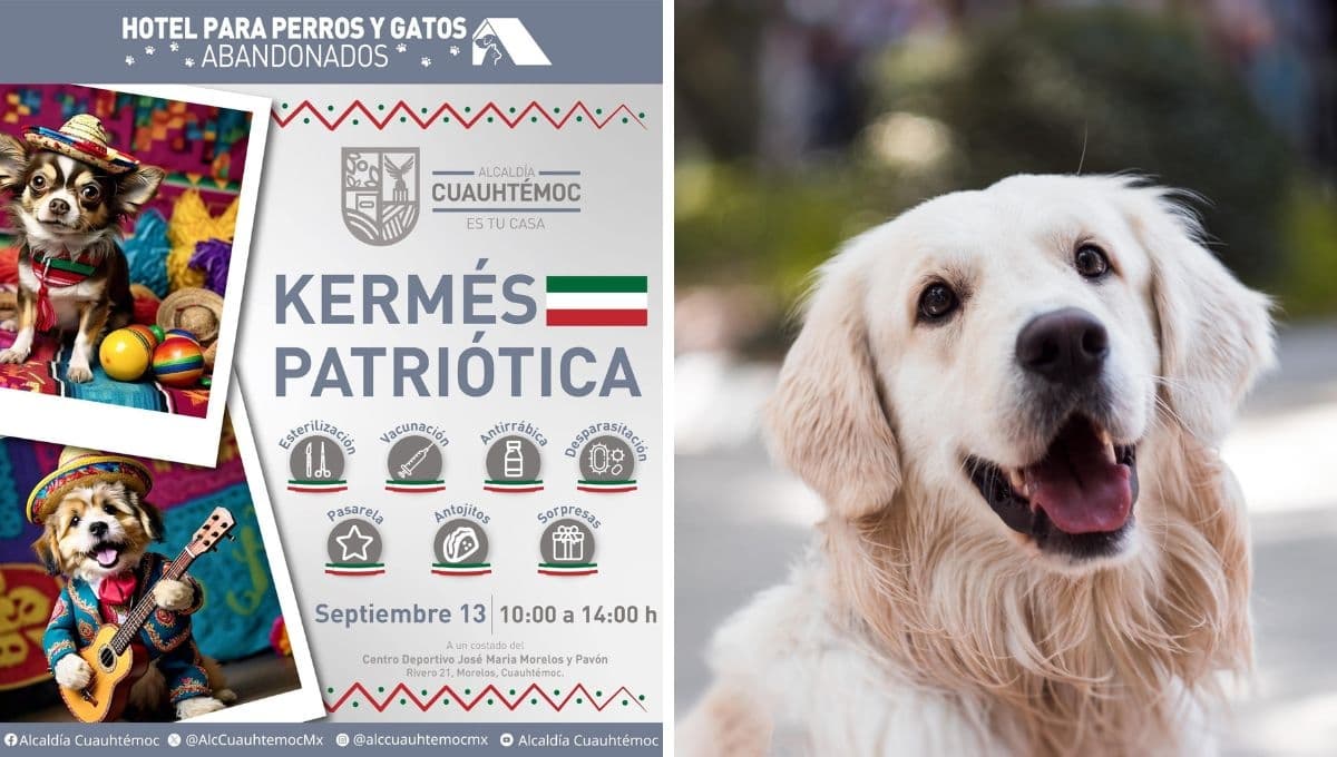 Así puedes acceder a esterilizaciones y vacunas en la Kermés patriótica para mascotas en la CDMX