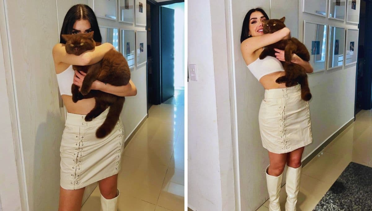 Karime Pindter promete hacer una fundación para gatos si gana La Casa de los Famosos