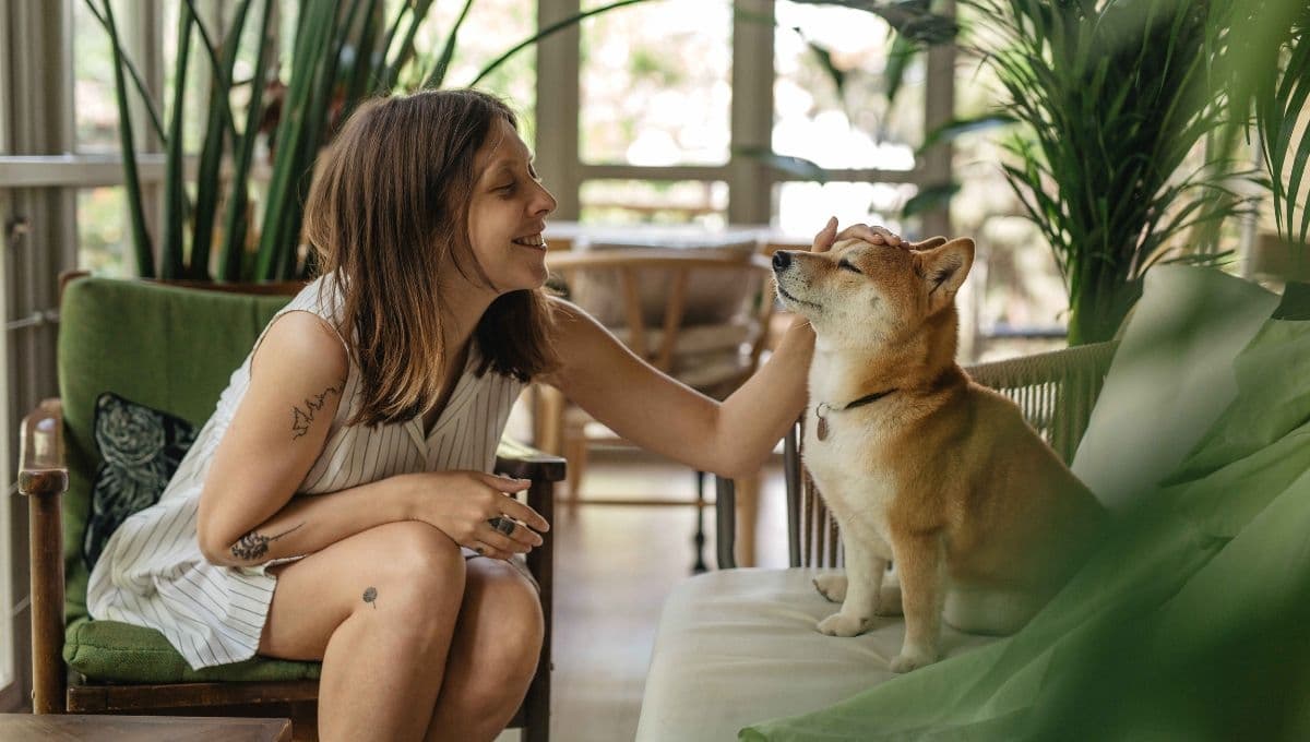 Así puedes sincronizar tu mente con la de tu perro, según estudio