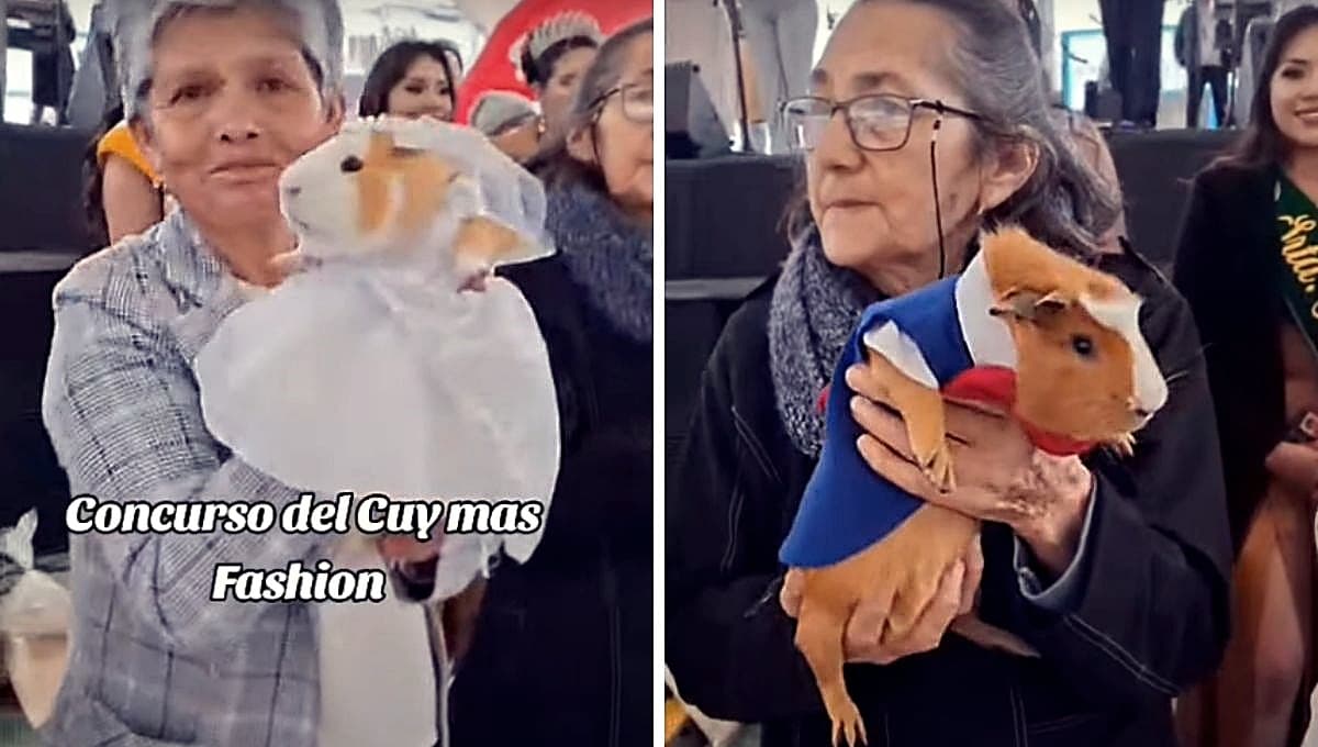 Concurso de belleza de cuyos se viraliza en redes: FOTOS