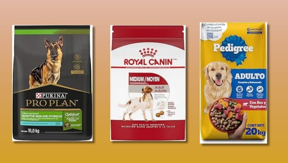 ¿Cuáles son las mejores croquetas para perro: Purina, Royal Canin o Pedigree?