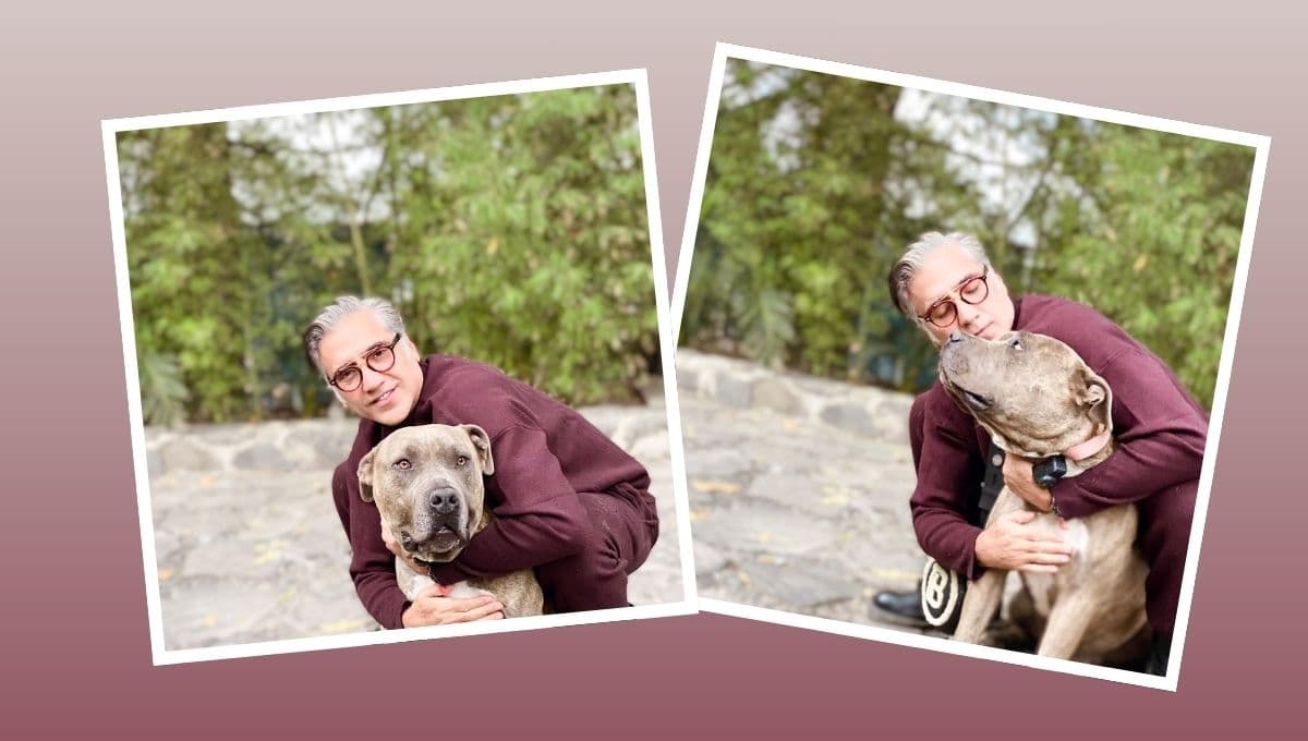 Muere el perro de Alejandro Fernández; así lo despidió el cantante