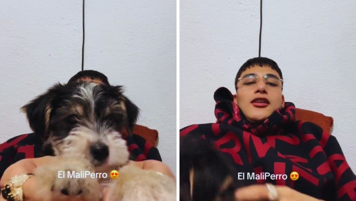 El Malilla adopta un perrito que se encontró en la calle, ¿qué raza es?