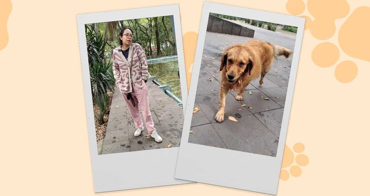 Pamela te dice por qué debes adoptar y no comprar una mascota