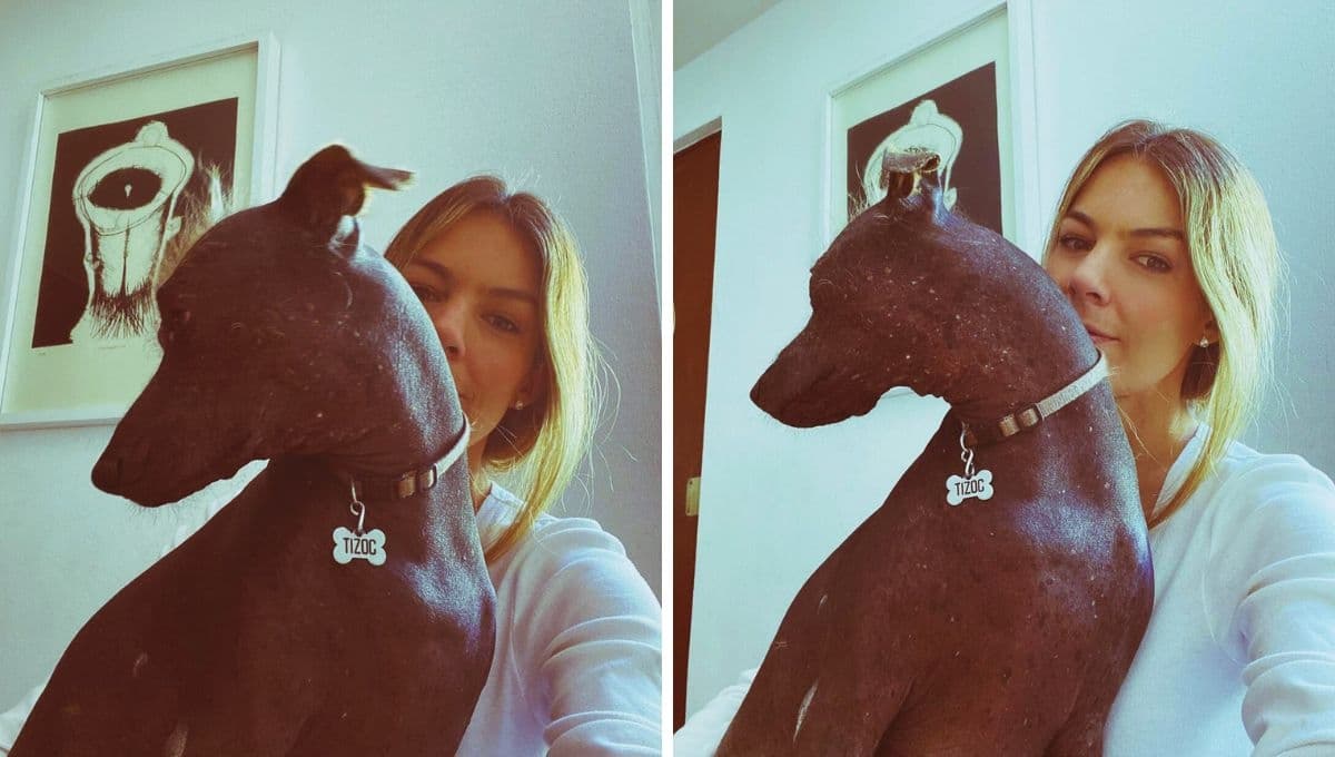 Conductora de Cuéntamelo Ya sufre tragedia; le entregaron muerto a su perro