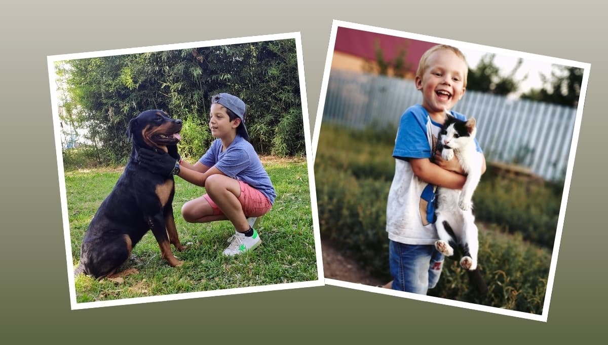 Los mejores animales para ser la primera mascota de un niño