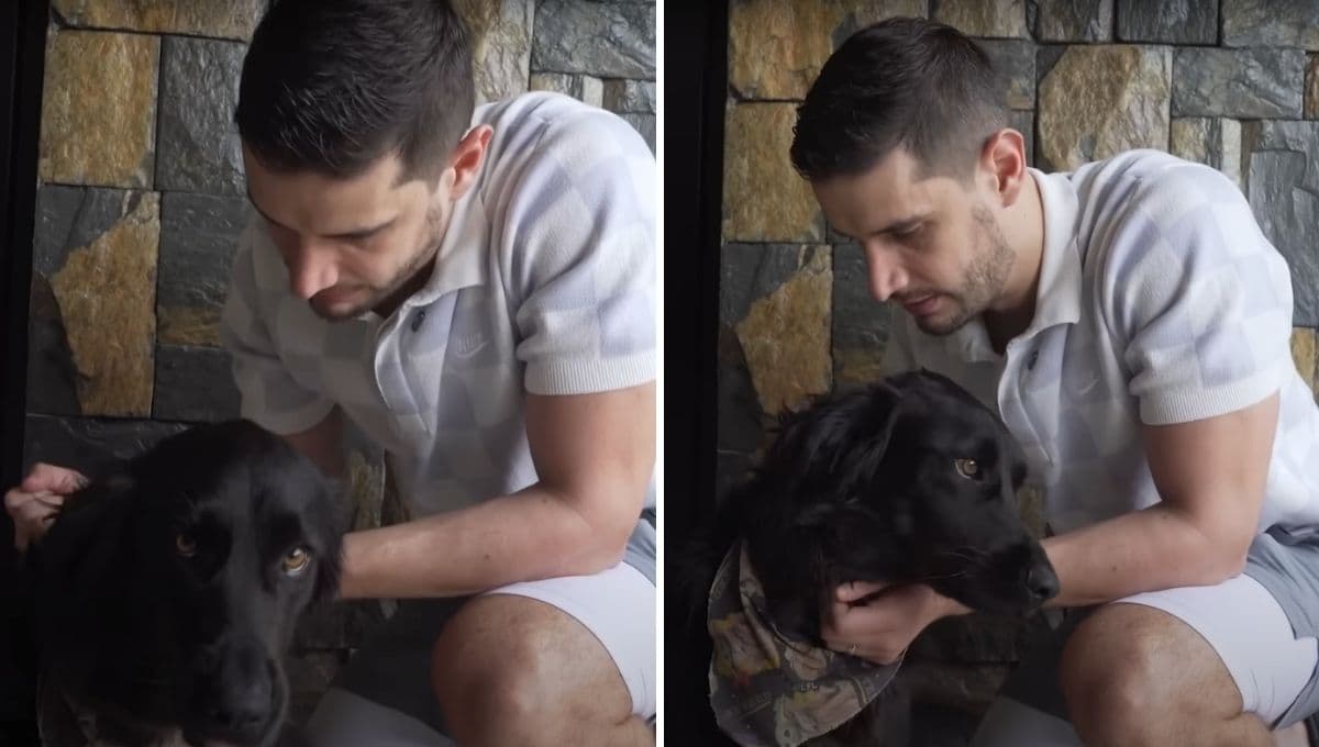 Así fue la indirecta de Adrián Marcelo a Mario Bezares con su perro