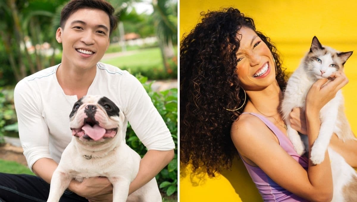 ¿Team perro o Team gato? ChatGPT revela las diferencias