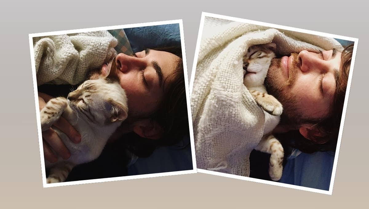 ¿Por qué mi gato duerme en mi cabeza?