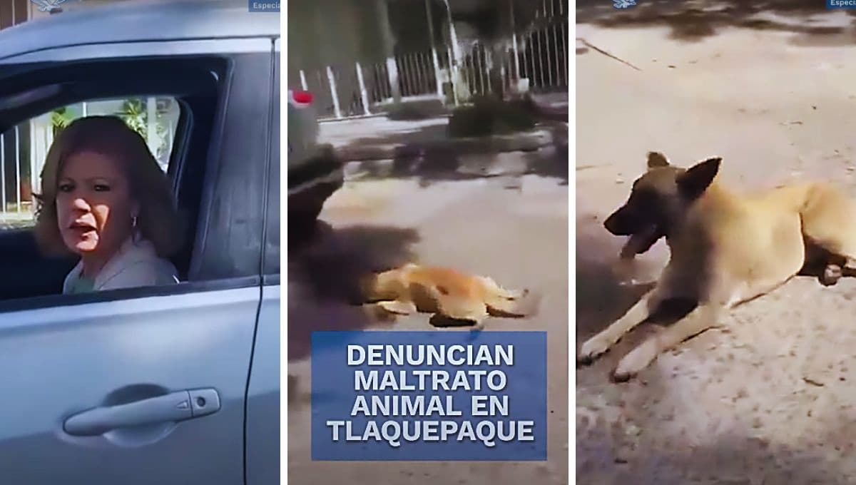 La sentencia que recibió mujer que arrastró a perro con su camioneta