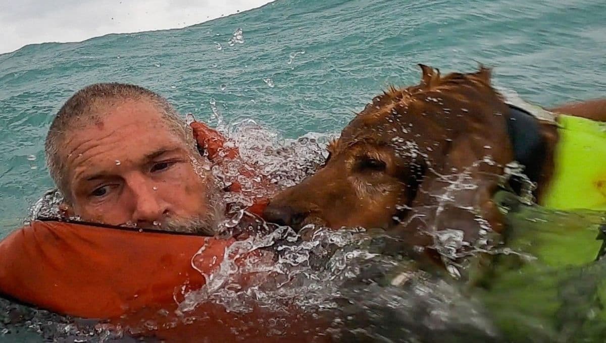 Así fue el rescate de un perro durante el Huracán Helene