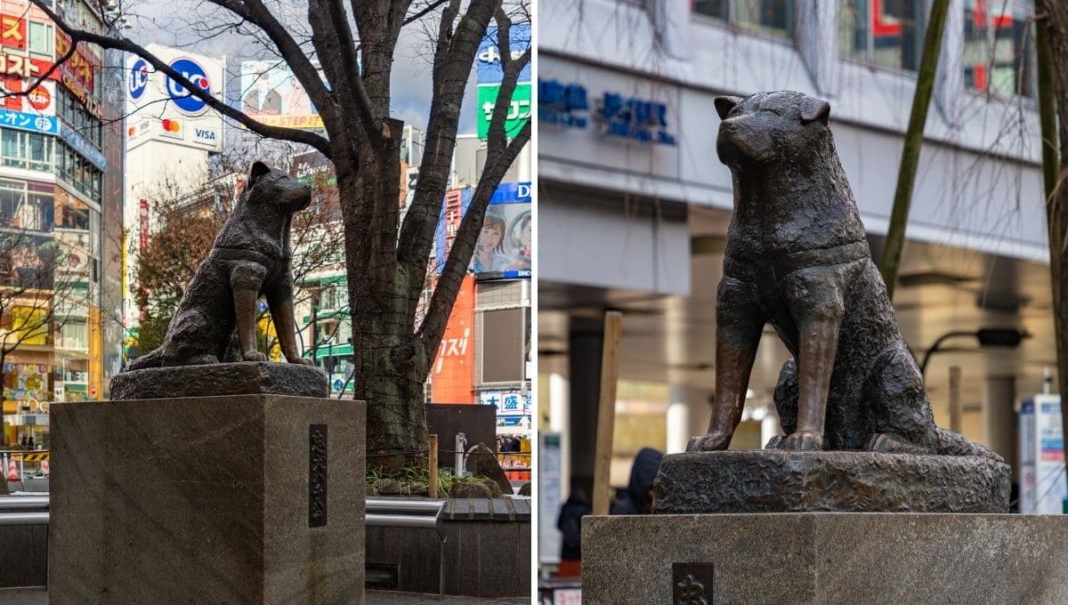 La historia detrás de la estatua de Hachiko, el perro que vigila una estación de tren en Tokio
