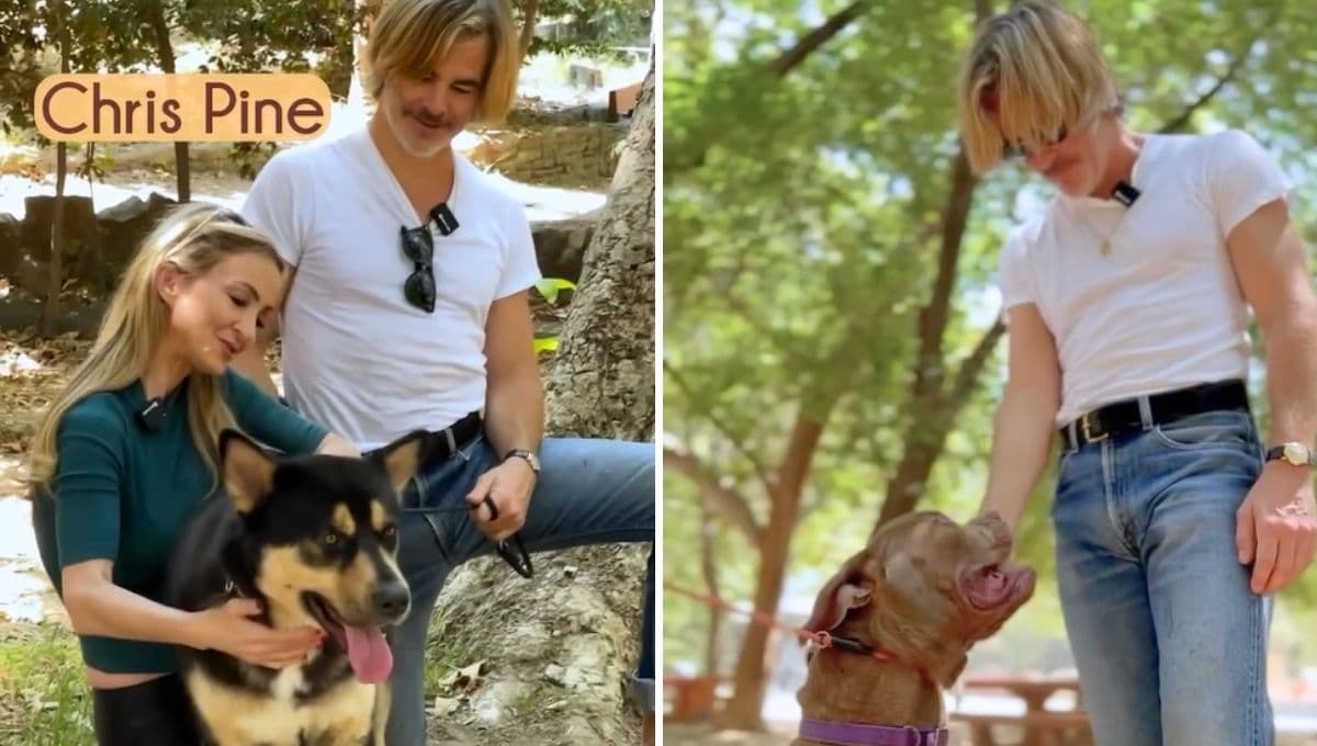 Así fue como Chris Pine salvó a dos perros justo antes de ser sacrificados