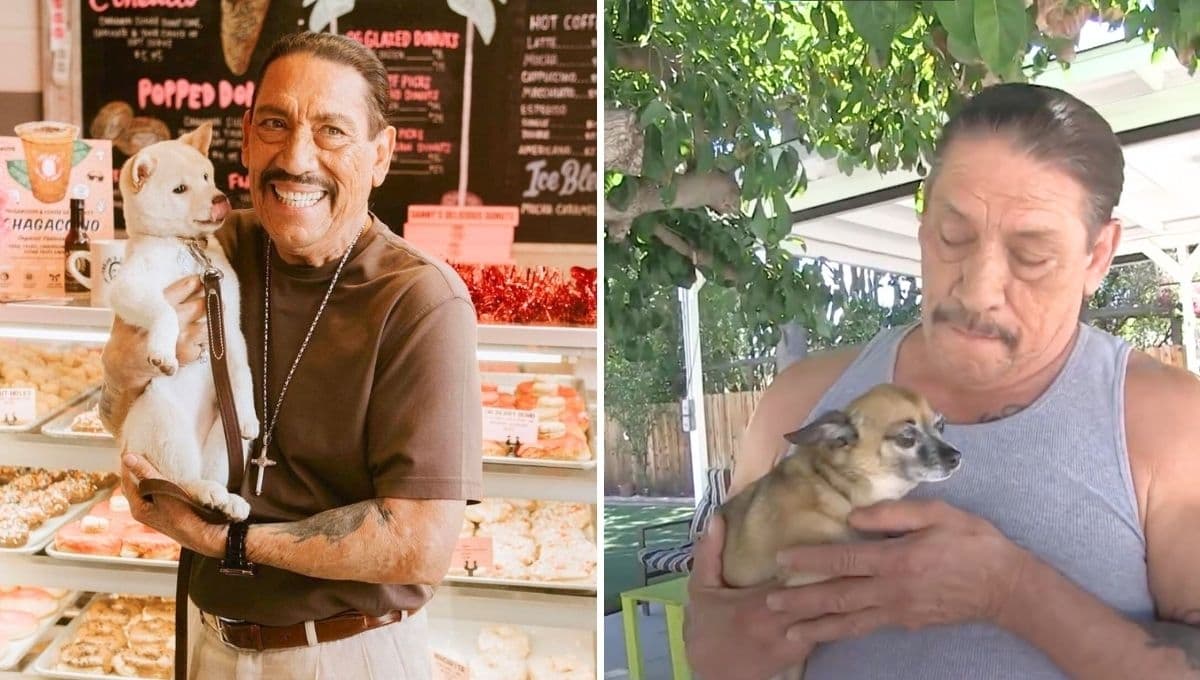 Actor Danny Trejo demuestra su amor por los perros en emotivo video