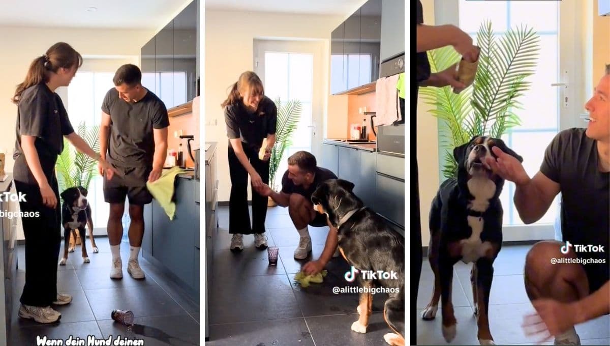 Le enseña un truco a su perro; aseguran que era para su novio