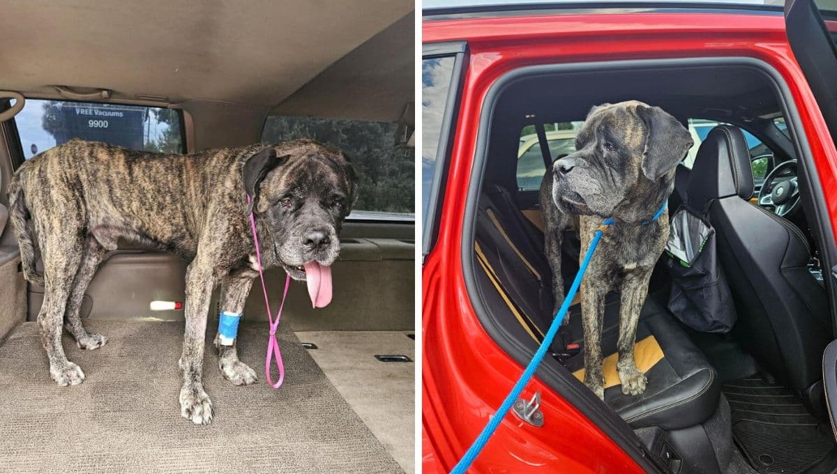 Lo abandonaron en un lago para que se ahogara; así sobrevivió