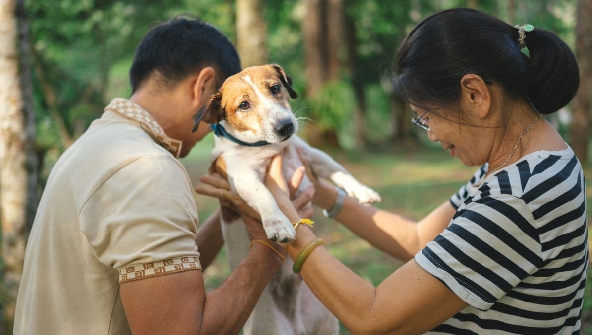 Hombre tendrá que indemnizar a su pareja por no dejarlo ver al perro de los dos