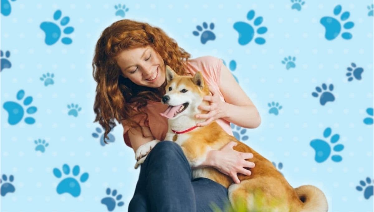 ¿Por qué tener un perro en casa? 5 razones según Harvard