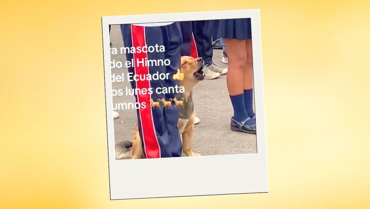 Perro demuestra ser el más patriota en este video