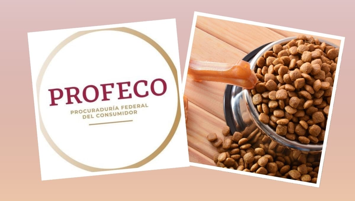 Las croquetas para perro para tener el cabello brilloso, según Profeco