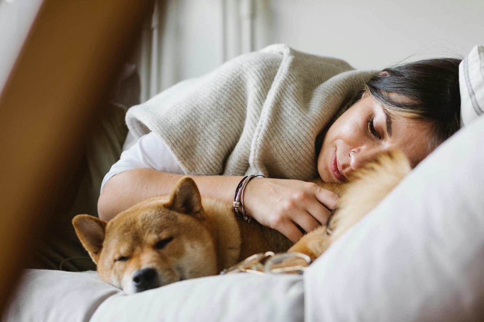 Frente Frío: 3 consejos para cuidar a tu perrito en temporada de invierno