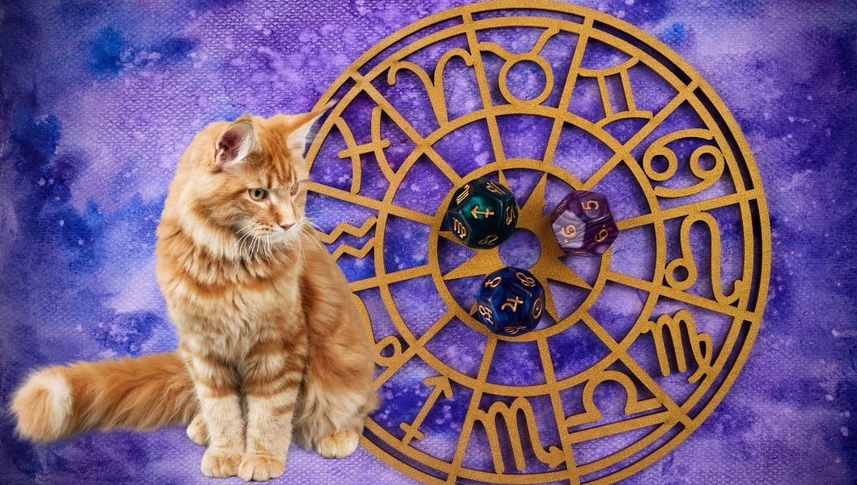 Horóscopo de tu gato: Las predicciones para tu michi hoy martes 15 octubre