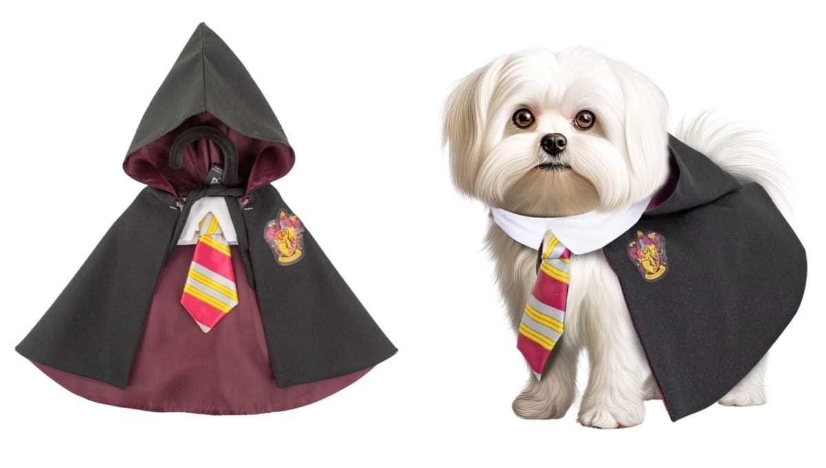 Liverpool tiene el disfraz de Harry Potter para perro y lucirlo este Halloween