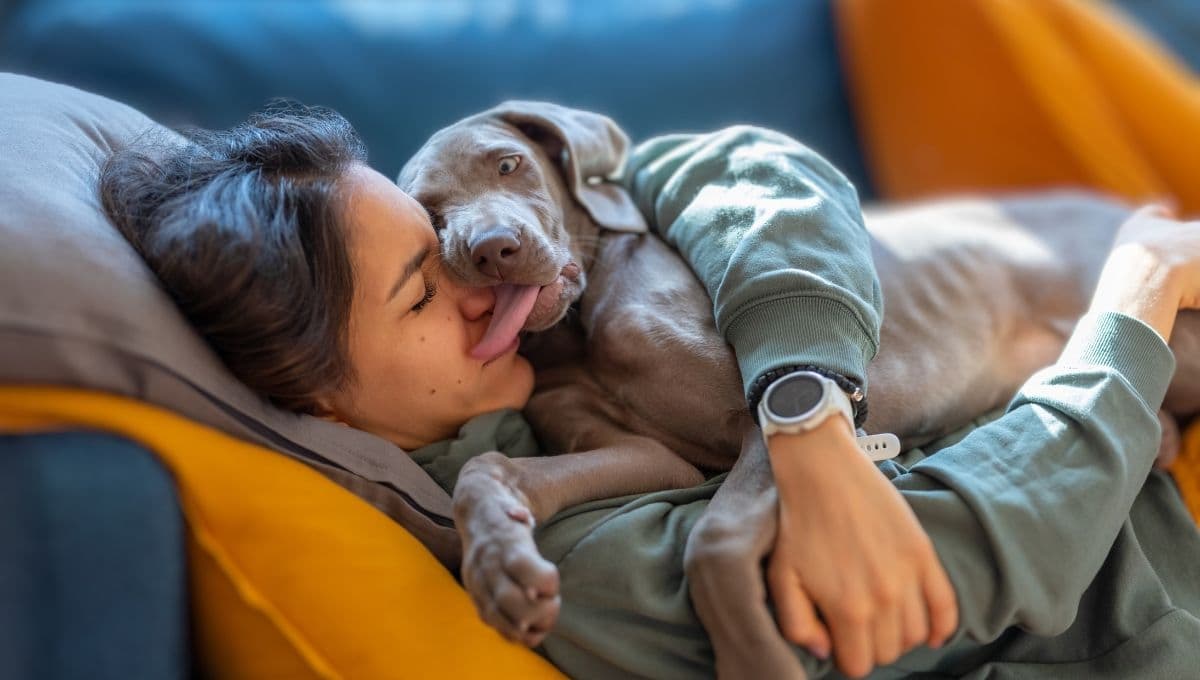 ¿Qué pasa si mi perro me lame la cara? La razón por la que NO debes dejar que lo haga